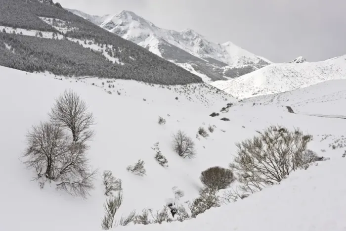 Framed Print : View of snow covered mountain habitat, Puerto de San Glorio (1609 metres), Picos de Europa, Cantabrian Mountains