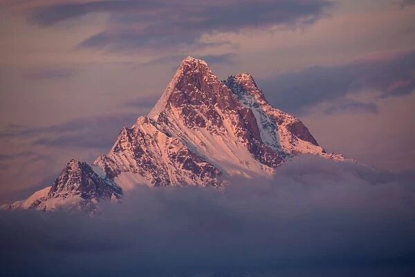 View of snow covered mountain summit amongst clouds at sunset, Schreckhorn, Swiss Alps, Bernese Oberland, Switzerland