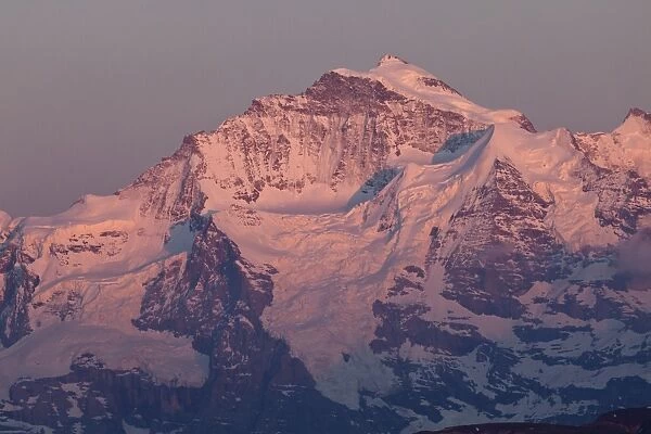 View of snow covered mountain summit at sunset, Jungfrau, Swiss Alps, Bernese Oberland, Switzerland, may