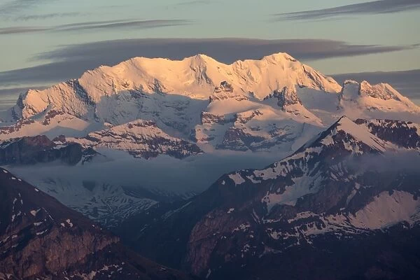 View of snow covered mountain summits at sunset, Swiss Alps, Bernese Oberland, Switzerland, June