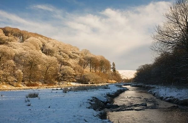 View of snow covered riverbank with trees in late afternoon sunshine, following Two Moors Way footpath