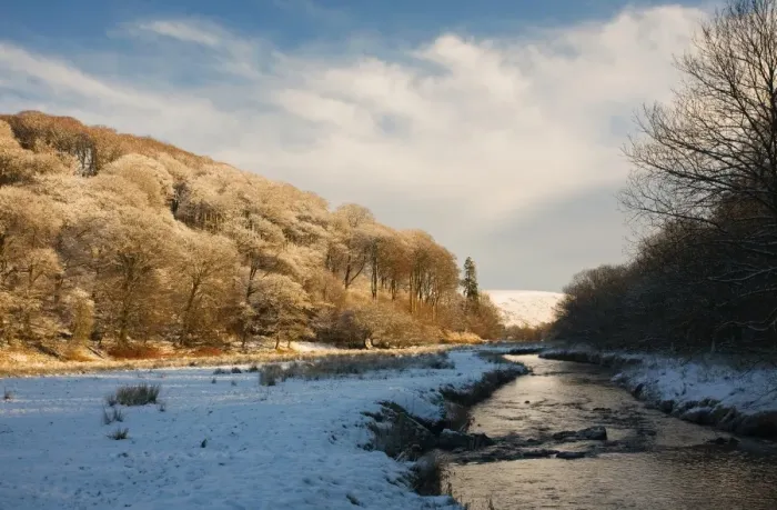 Framed Print : View of snow covered riverbank with trees in late afternoon sunshine, following Two Moors Way footpath Framed Print : View of snow covered riverbank with trees in late afternoon sunshine, following Two Moors Way footpath
