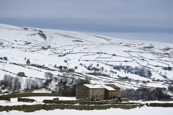 Framed Print : View of snow covered upland farmland with stone barns and drystone walls, Swaledale, Yorkshire Dales N. P Framed Print : View of snow covered upland farmland with stone barns and drystone walls, Swaledale, Yorkshire Dales N. P