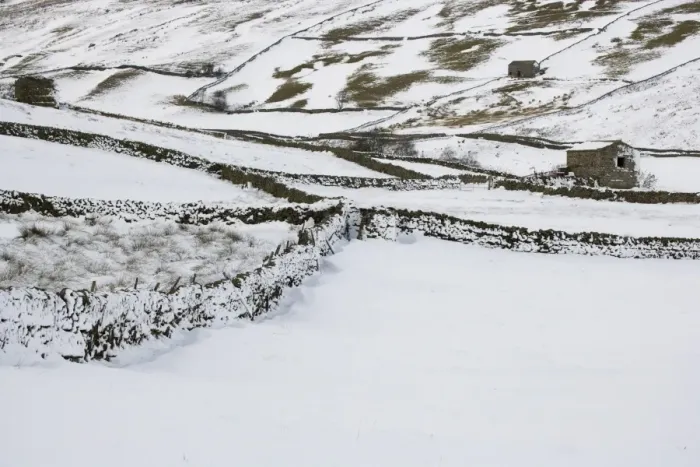 Framed Print : View of snow covered upland farmland with stone barns and drystone walls, near Buttertubs Pass, Swaledale Framed Print : View of snow covered upland farmland with stone barns and drystone walls, near Buttertubs Pass, Swaledale