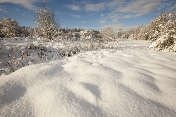 Framed Print : View of snow covered urban park, Shirebrook Valley, Sheffield, South Yorkshire, England, december Framed Print : View of snow covered urban park, Shirebrook Valley, Sheffield, South Yorkshire, England, december