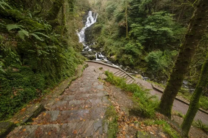 Framed Print : View of steps leading uphill from waterfall, Torc Waterfall, Owengarriff River, Killarney N. P Framed Print : View of steps leading uphill from waterfall, Torc Waterfall, Owengarriff River, Killarney N. P