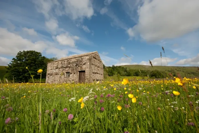 Framed Print : View of stone barn in wildflower meadow, Muker, Swaledale, Yorkshire Dales N. P. North Yorkshire, England, june