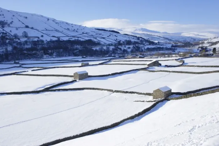 Framed Print : View of stone barns and drystone walls in snow covered valley bottom, Gunnerside, Swaledale, Yorkshire Dales N. P Framed Print : View of stone barns and drystone walls in snow covered valley bottom, Gunnerside, Swaledale, Yorkshire Dales N. P
