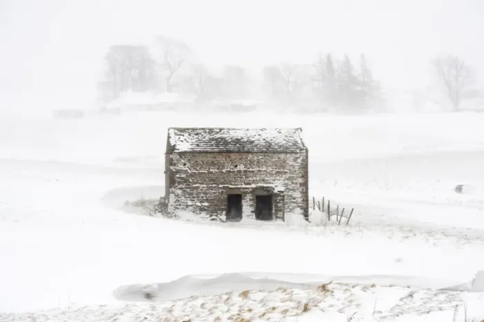 Framed Print : View of stone field barn during snowstorm, Cumbria, England, March Framed Print : View of stone field barn during snowstorm, Cumbria, England, March
