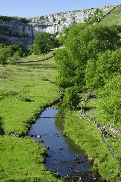 View of stream and limestone cliff, Malham Cove, Malhamdale, Yorkshire Dales N. P. North Yorkshire, England, summer