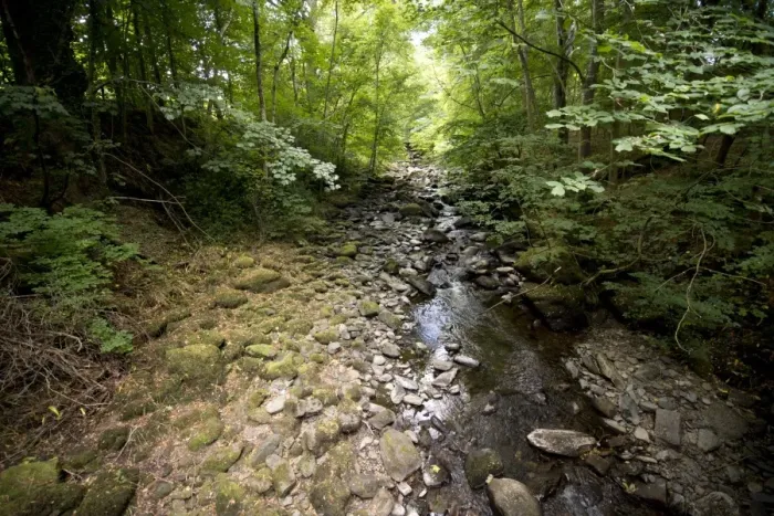 Framed Print : View of stream in woodland glen habitat, Trossachs, Stirling, Scotland, July Framed Print : View of stream in woodland glen habitat, Trossachs, Stirling, Scotland, July