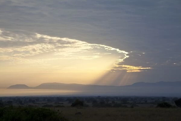 View of sunbeams over savannah landscape at sunrise, Queen Elizabeth N. P. Uganda