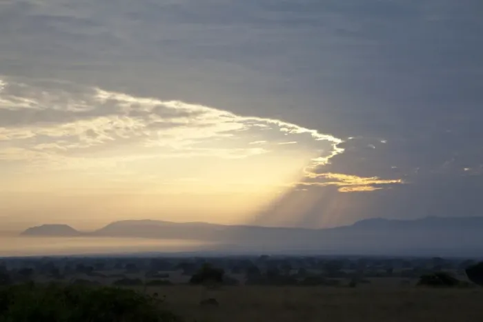 Framed Print : View of sunbeams over savannah landscape at sunrise, Queen Elizabeth N. P. Uganda Framed Print : View of sunbeams over savannah landscape at sunrise, Queen Elizabeth N. P. Uganda