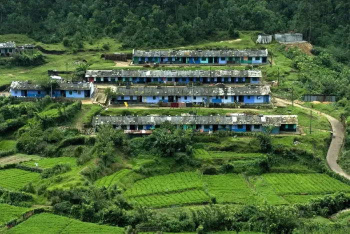 Framed Print : View of tea plantation workers housing on hillside, Munnar, Western Ghats, Kerala, India Framed Print : View of tea plantation workers housing on hillside, Munnar, Western Ghats, Kerala, India