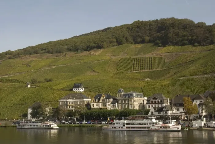 Framed Print : View of tourist boats on river, town and vineyard on hillside, River Mosel, Bernkastel, Rhineland-Palatinate, Germany Framed Print : View of tourist boats on river, town and vineyard on hillside, River Mosel, Bernkastel, Rhineland-Palatinate, Germany