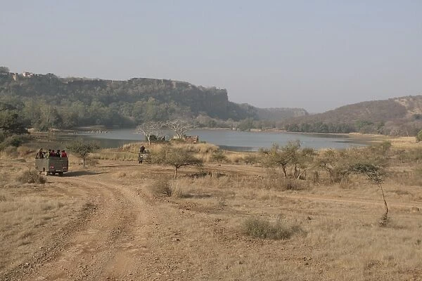 View of tourist vehicles at edge of lake habitat, Ranthambore N. P. Rajasthan, India, january
