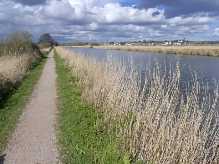 Framed Print : View of towpath and canal, Exeter Canal, South of Exeter, Devon, England, March