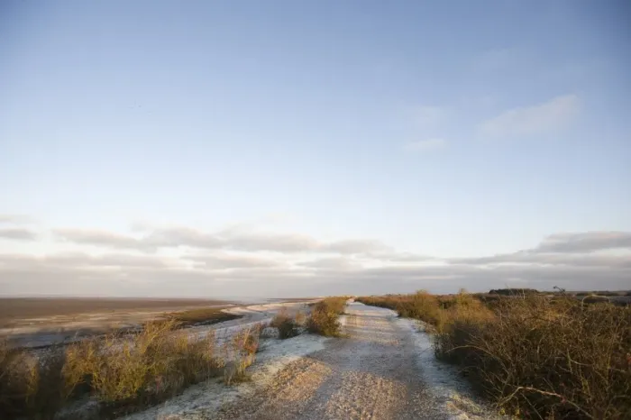 Framed Print : View of track and coastal estuary mudflats, Snettisham RSPB Reserve, The Wash, Norfolk, England, winter Framed Print : View of track and coastal estuary mudflats, Snettisham RSPB Reserve, The Wash, Norfolk, England, winter