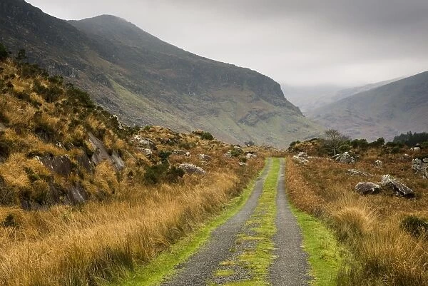 View of track and mountains, Cummeenduff Lake, Black Valley, Macgillycuddys Reeks, Killarney, County Kerry, Munster