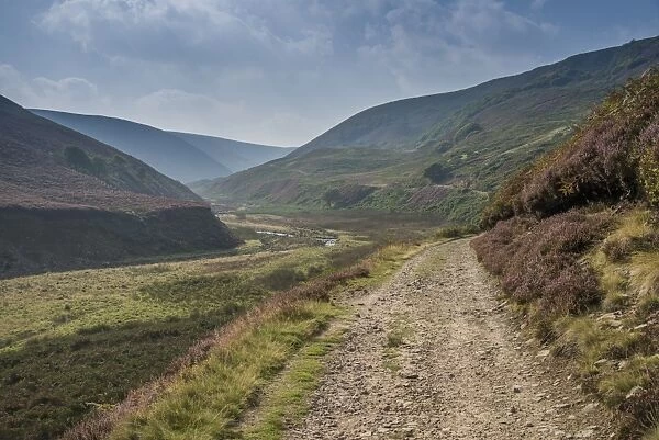 View of track through upland valley with river, Langden Brook, Langden, Dunsop Bridge, Trough of Bowland