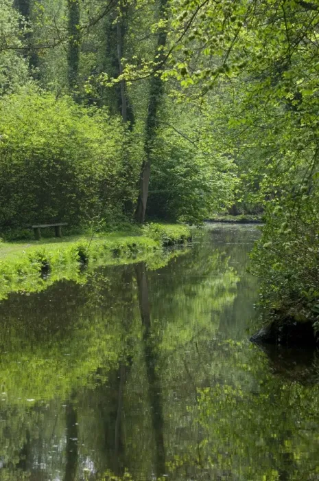 Framed Print : View of tree lined river habitat, Fairhaven Garden Trust, South Walsham, The Broads, Norfolk, England, april Framed Print : View of tree lined river habitat, Fairhaven Garden Trust, South Walsham, The Broads, Norfolk, England, april