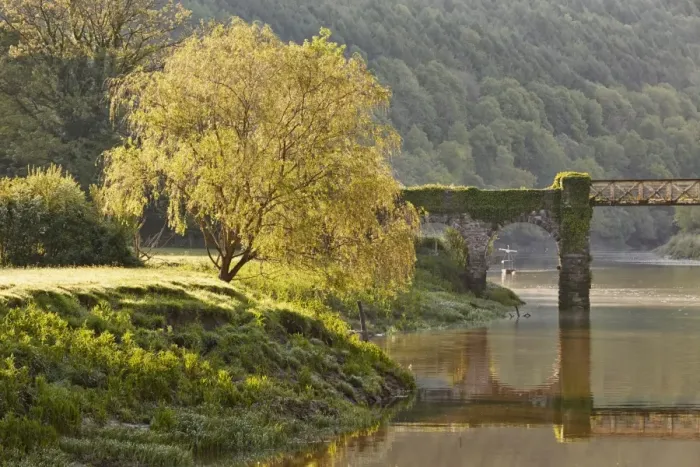 Framed Print : View of tree on riverbank near footbridge, Old Tramway Bridge, River Wye, Tintern, Wye Valley, Monmouthshire, Wales Framed Print : View of tree on riverbank near footbridge, Old Tramway Bridge, River Wye, Tintern, Wye Valley, Monmouthshire, Wales