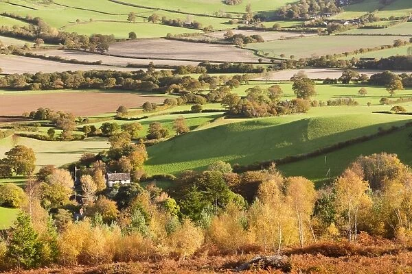 View across trees in autumn colour and mixed farmland, looking from Luccombe Plantation, near Webbers Post