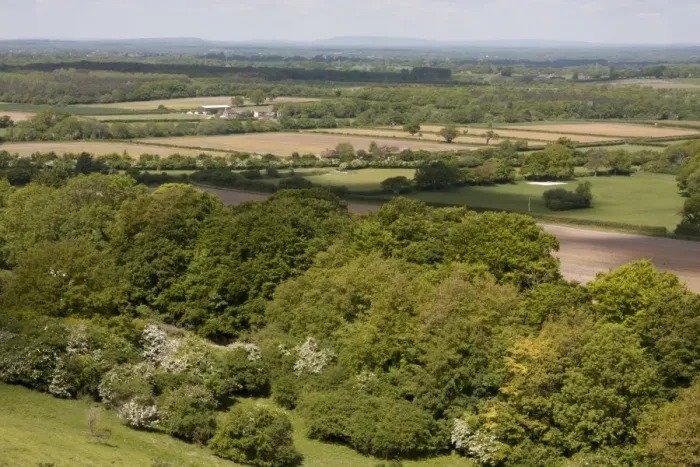 Framed Print : View of trees and farmland from chalk hill, looking from Wolstonbury Hill, South Downs N. P. West Sussex, England, June Framed Print : View of trees and farmland from chalk hill, looking from Wolstonbury Hill, South Downs N. P. West Sussex, England, June