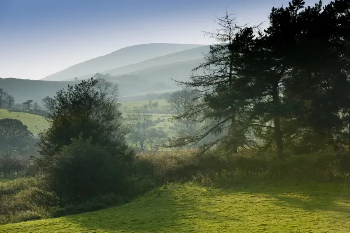 Framed Print : View through trees towards fell, looking to Parlick Fell from Dinkling Green Farm, Whitewell, Clitheroe, Lancashire