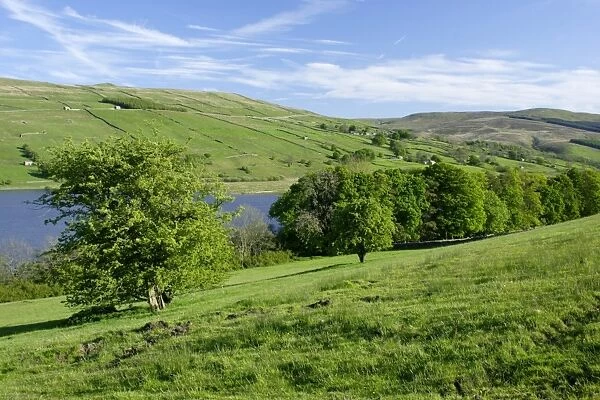 View of trees, lake and hills, Semerwater, Wensleydale, Yorkshire Dales N. P. North Yorkshire, England, april