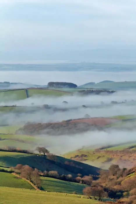 Framed Print : View of trees, pasture and rolling hills with mist rising in early morning, Exmoor N. P. Somerset, England, April Framed Print : View of trees, pasture and rolling hills with mist rising in early morning, Exmoor N. P. Somerset, England, April