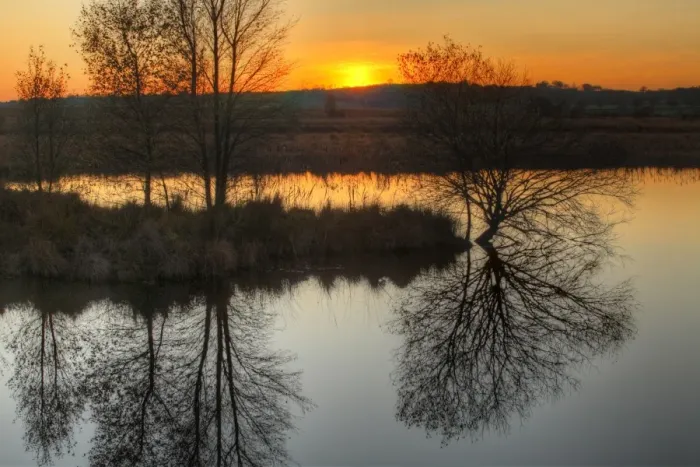 Framed Print : View of trees reflected in pond, in raised bog habitat at sunset, Cors Caron National Nature Reserve, Ceredigion Framed Print : View of trees reflected in pond, in raised bog habitat at sunset, Cors Caron National Nature Reserve, Ceredigion