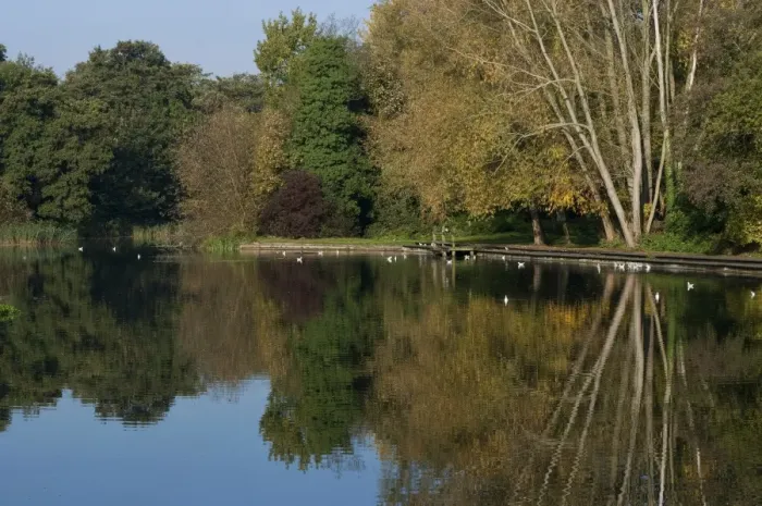Framed Print : View of trees reflected in river, River Wensum, Wensum Park, Norwich, Norfolk, England, october Framed Print : View of trees reflected in river, River Wensum, Wensum Park, Norwich, Norfolk, England, october