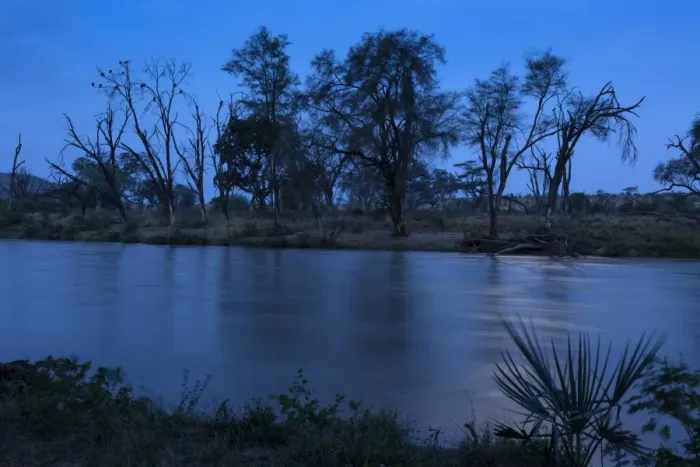 Framed Print : View of trees beside river at night, Samburu National Reserve, Kenya, August Framed Print : View of trees beside river at night, Samburu National Reserve, Kenya, August