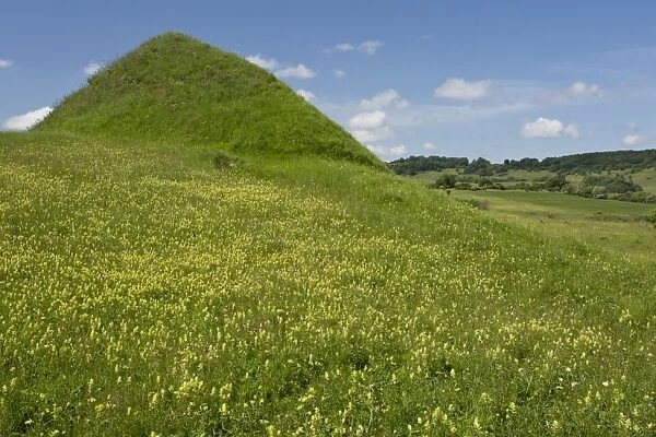 View of Tump, raised mound in flowery grassland, above Apold, Transylvania, Romania, June