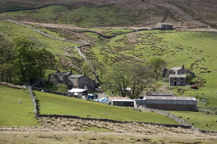 Framed Print : View of upland farm with farmyard, buildings, sheep grazing in pasture and fell habitat, Widdale, North Yorkshire