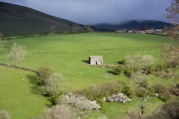 Framed Print : View of upland farmland with stone barn and sheep grazing in pasture, Howgills, near Ravenstonedale, Cumbria, England Framed Print : View of upland farmland with stone barn and sheep grazing in pasture, Howgills, near Ravenstonedale, Cumbria, England