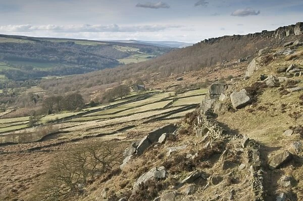 View of upland habitat with drystone walls and gritstone edge, looking north from Baslow Edge, Peak District