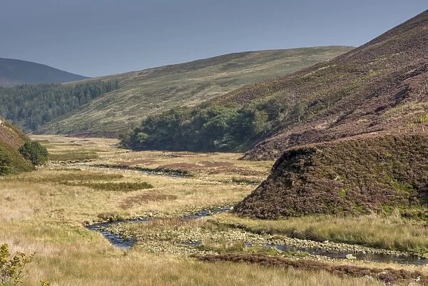 View of upland valley with river, Langden Brook, Langden, Dunsop Bridge, Trough of Bowland, Forest of Bowland