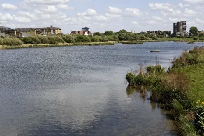 Framed Print : View of urban wetland habitat, W. W. T. London Wetlands Centre, Barnes, Richmond upon Thames, London, England, may Framed Print : View of urban wetland habitat, W. W. T. London Wetlands Centre, Barnes, Richmond upon Thames, London, England, may