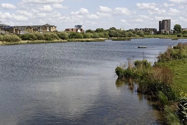 View of urban wetland habitat, W. W. T. London Wetlands Centre, Barnes, Richmond upon Thames, London, England, may