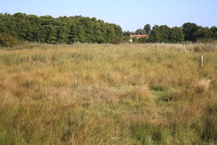 Framed Print : View of valley fen reserve habitat, Market Weston Fen, Market Weston, Little Ouse Valley, Suffolk, England, september