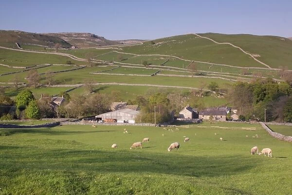 View above village with drystone walls on hillside and sheep grazing in pasture, Malham, Malhamdale