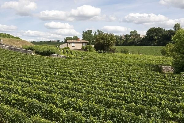 View over vineyards around the town of St Emilion in the Bordeaux Region of France