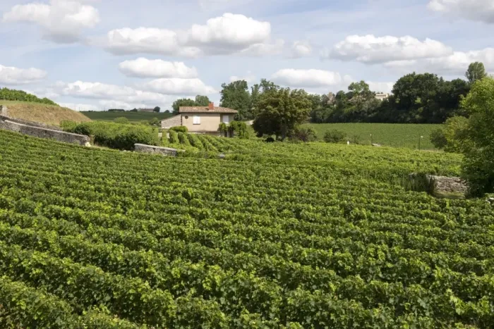 Framed Print : View over vineyards around the town of St Emilion in the Bordeaux Region of France Framed Print : View over vineyards around the town of St Emilion in the Bordeaux Region of France