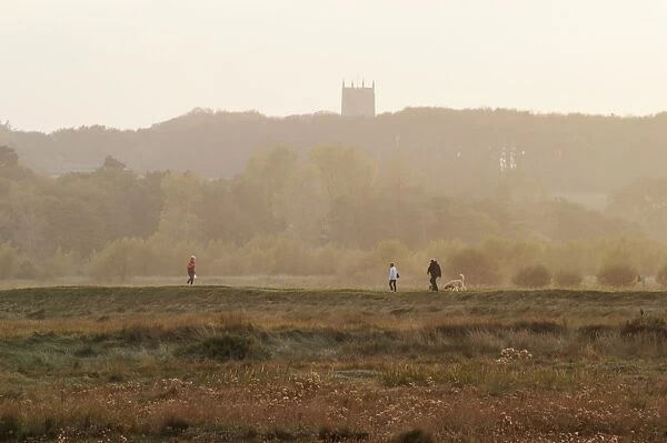 View of walkers with dogs at sunset, with church tower in distance, Cley Marshes, Cley-next-the-sea, North Norfolk