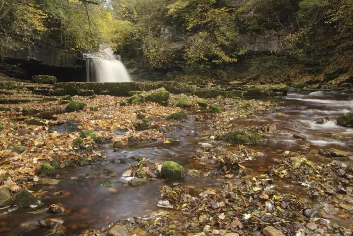 Framed Print : View of waterfall and autumn leaves, Cauldron Falls, Walden Beck, River Ure, West Burton, Wensleydale Framed Print : View of waterfall and autumn leaves, Cauldron Falls, Walden Beck, River Ure, West Burton, Wensleydale