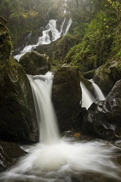 View of waterfall, Torc Waterfall, Owengarriff River, Killarney N. P. County Kerry, Munster, Ireland, December