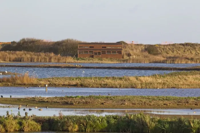 Framed Print : View from West Hide across scrape towards East Hide, Minsmere RSPB Reserve, Suffolk, England, november Framed Print : View from West Hide across scrape towards East Hide, Minsmere RSPB Reserve, Suffolk, England, november