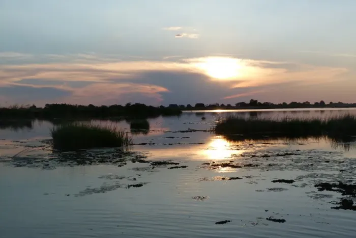 Framed Print : View of wetland habitat at dusk, Okavango Delta, Botswana